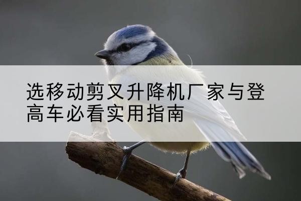 苍梧电动升降机厂家-选移动剪叉升降机厂家与登高车必看实用指南