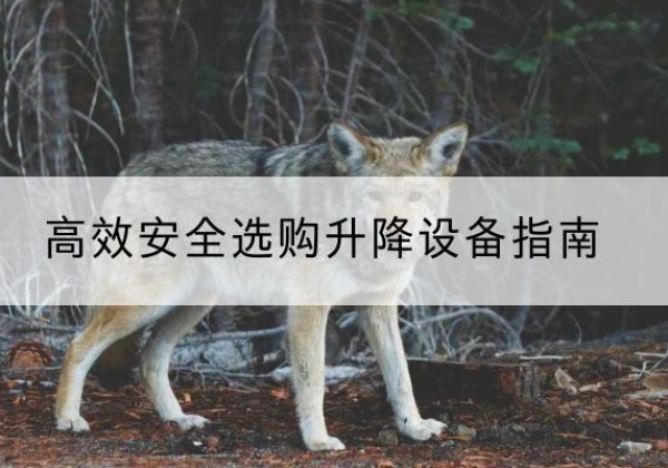 苍梧升降货梯厂家推荐-*安全选购升降设备指南
