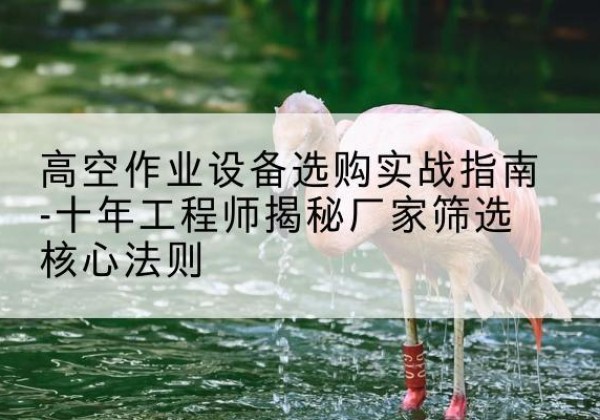 苍梧剪叉式升降机厂家-高空作业设备选购实战指南-十年工程师揭秘厂家筛选核心法则